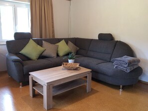 Televisión, chimenea, reproductor de DVD y futbolito 