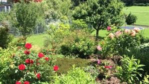 A garden with various plants and flowers, including red roses, and a fenced area with trees and a lawn. - Welcome to the Allgäu family Berger (Sulzberg)