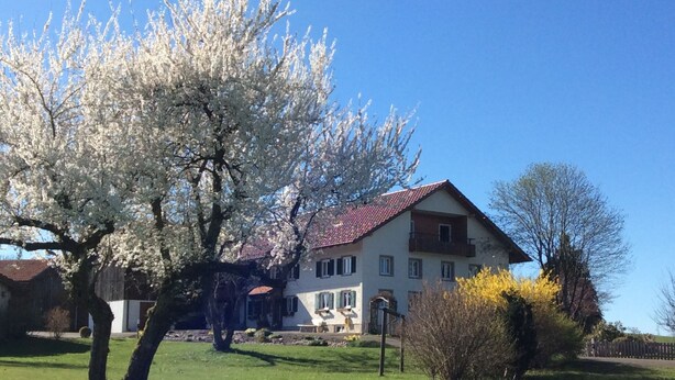 A two-story house with a red-tiled roof, surrounded by a well-maintained lawn and blooming trees. - Welcome to the Allgäu family Berger (Sulzberg)