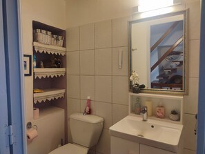 Ducha, secador de pelo y papel higiénico