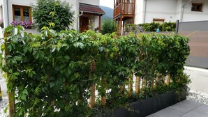 Een rij strakke hagen in een plantenbak, met een woongebouw op de achtergrond.