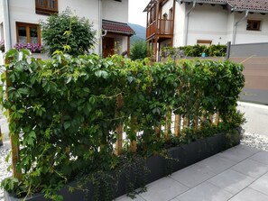 Terrain de l’hébergement 
