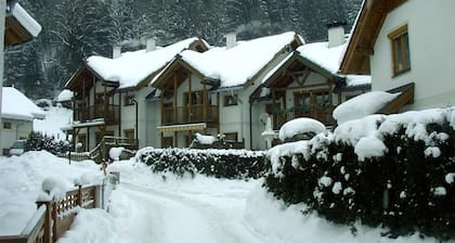 Ski & Summer, luxury furnished cottage near lifts.