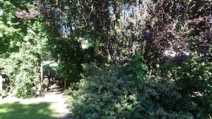A garden with a stone pathway, lush greenery, and a wooden fence. - Vacation apartment directly by the dike (Niedersachsen)