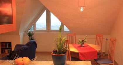 3-star vacation apartment on the Rheinsteig with a magnificent view over the Rhine Valley