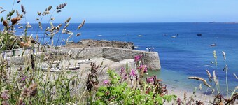 RURALE - Tema Affitto stagionale - tour Acquerello fase