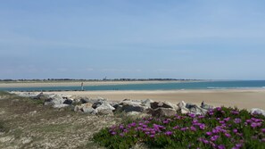 Playa en los alrededores 