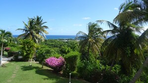 Un jardín exuberante con palmeras y vista al océano.