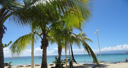 BELLEVUE on OCEAN Nice stopover in the CARIBBEAN