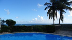 Una piscina con vista al océano y palmeras.