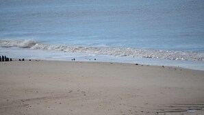 Ein Strand mit sandigem Ufer und ankommenden Wellen.