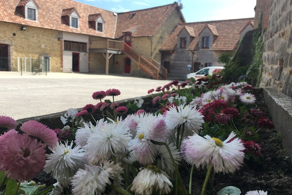 Terrain de l’hébergement