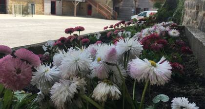 Gîte with covered swimming pool on the Opal Coast