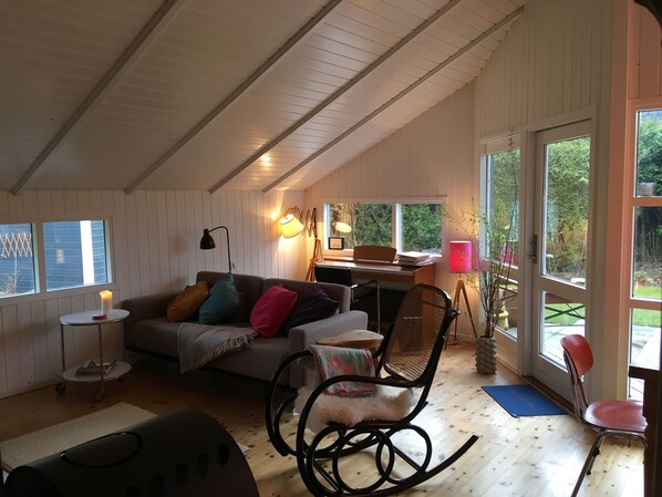 Smart TV, fireplace, DVD player, music library