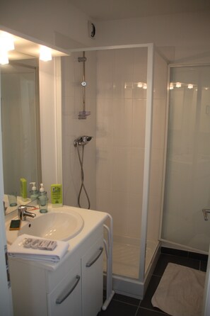 Shower, hair dryer, soap