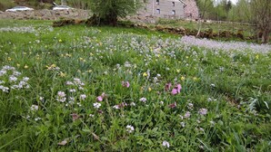 Un campo de flores silvestres con un edificio de piedra al fondo.