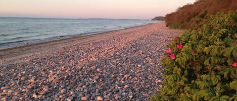 Beach nearby, sun loungers