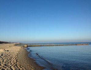 在海灘附近、躺椅