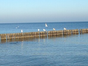 Enjoy a peaceful waterfront retreat with a pier and serene surroundings.
