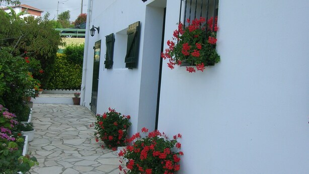 Un stretto sentiero in pietra conduce a un edificio bianco con persiane verdi e vasi con fiori rossi.