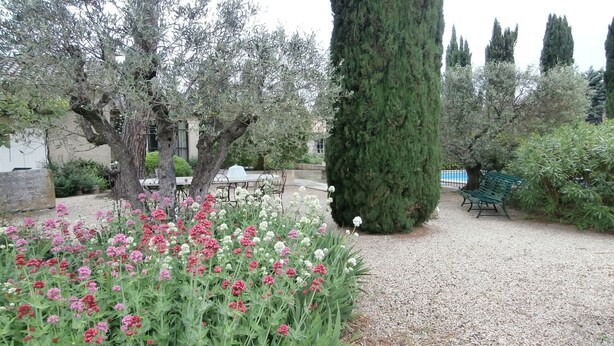 Ein Garten mit Kiesweg, einer Bank und verschiedenen Bäumen und Sträuchern.