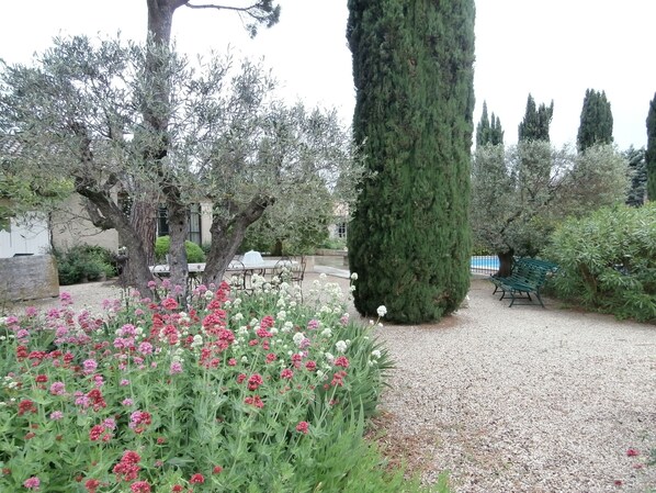 Property grounds - charming cottage in the heart of Provence (Saint-Andiol)