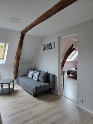 Een loft-achtige kamer met een hoge nok, zichtbare houten balken, een grijze bank met gekleurde kussens, een klein tafeltje en een dakraam.