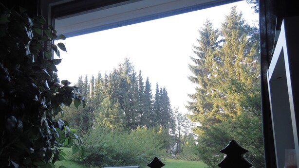 Ikkunasta avautuu näkymä metsään, ja kuvassa on päivämääräleima: 26.9.2015.