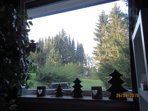 HOLIDAY APARTMENT ON THE FOREST 1