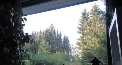 HOLIDAY APARTMENT ON THE FOREST 1