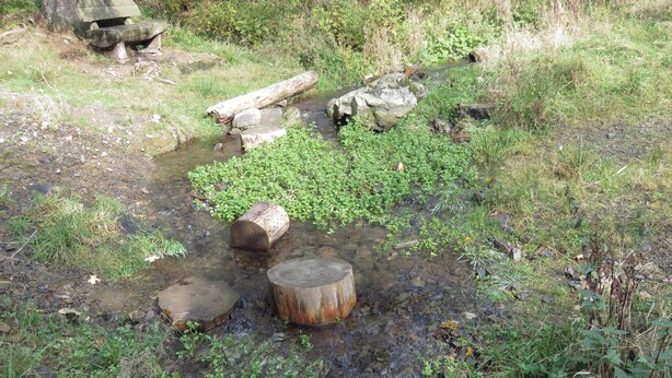 Un cadre naturel en plein air, avec un petit ruisseau, des rochers et de la végétation.