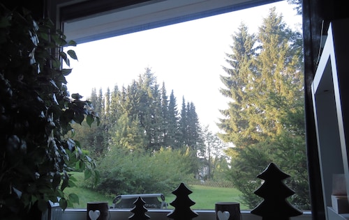 HOLIDAY APARTMENT ON THE FOREST 1