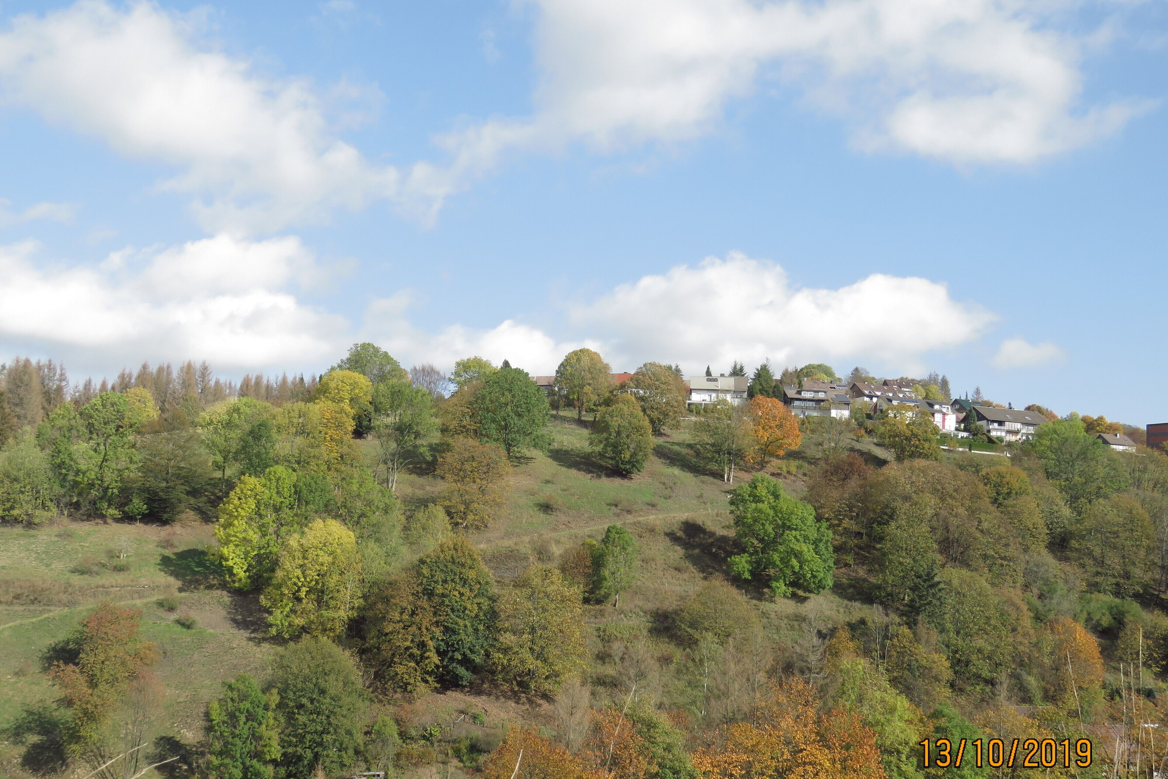 A hillside with scattered houses and trees.