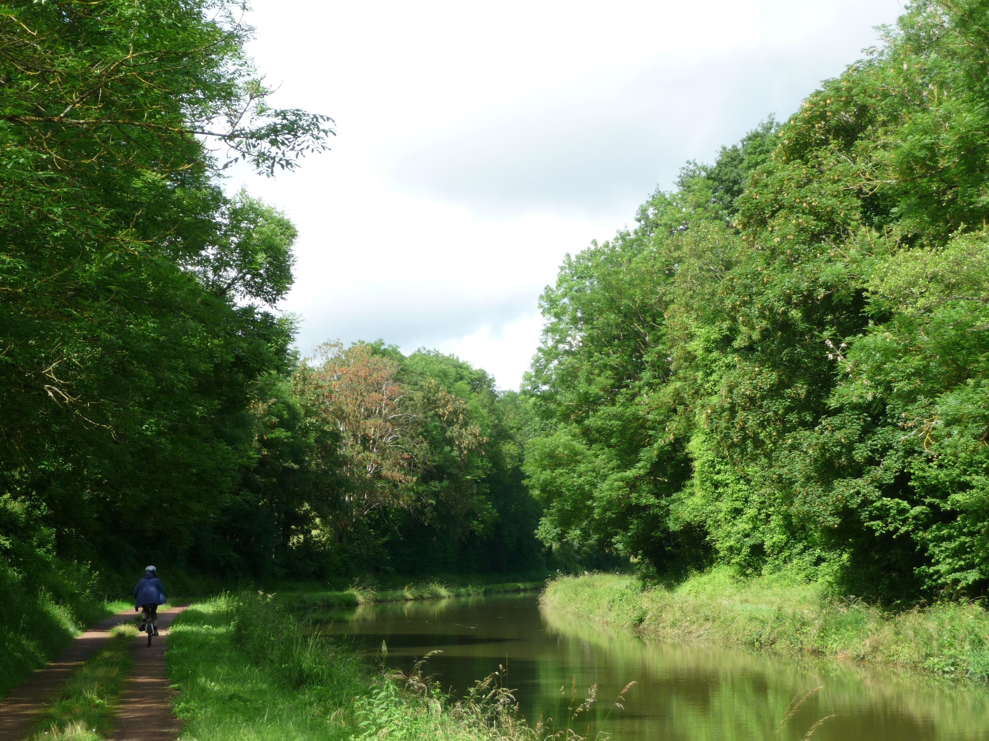 Een smal pad, omzoomd door weelderige groene begroeiing en een rustig waterlichaam.