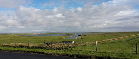 A rural landscape with a road, grassy fields, and a body of water.