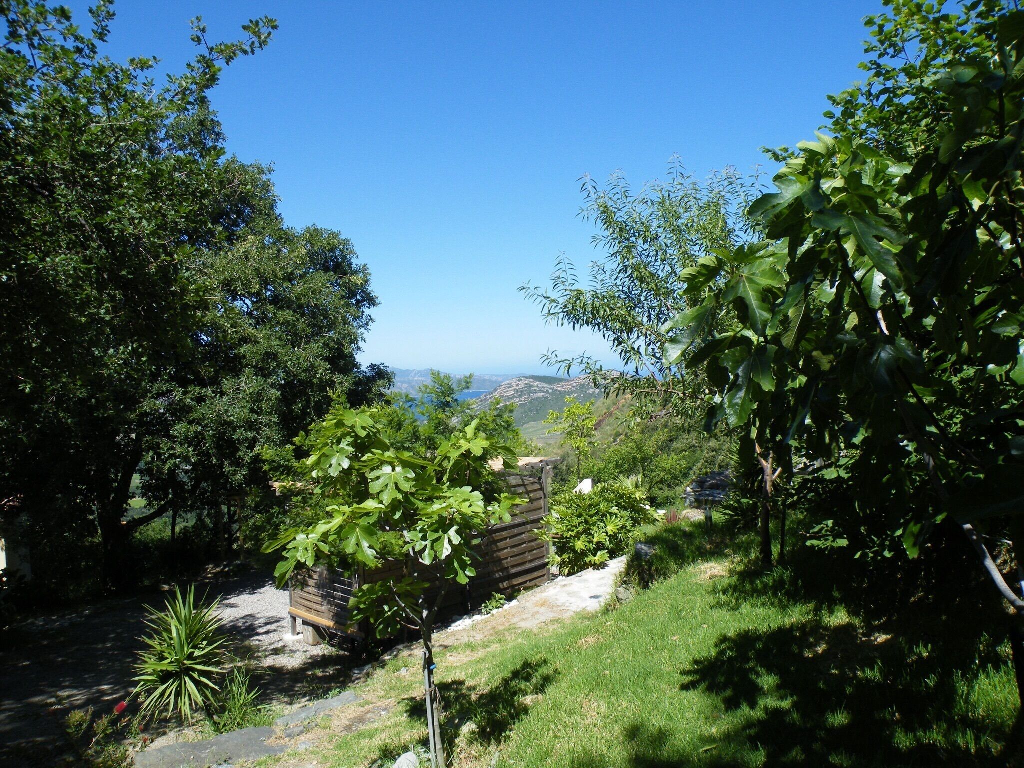 Un jardin luxuriant, agrémenté d’une clôture en bois, de différentes espèces d’arbres et offrant une vue dégagée sur les collines lointaines.