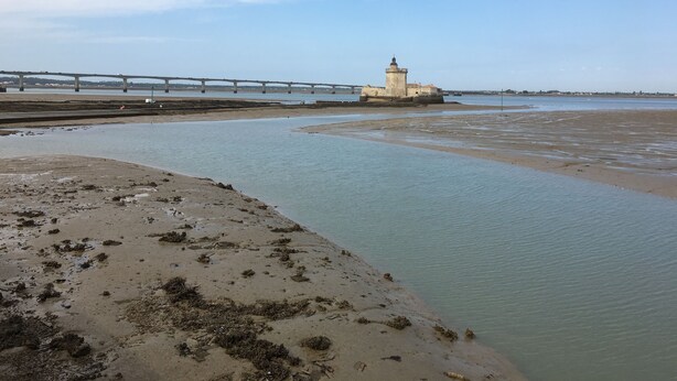 Uma paisagem costeira com um farol, uma ponte e uma praia de areia.