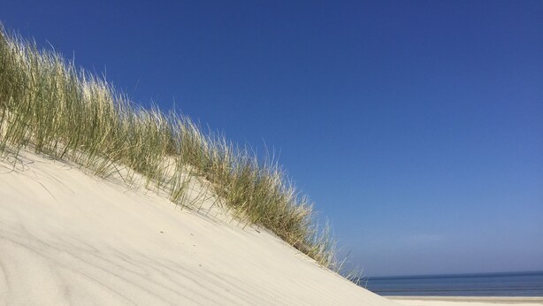 En sandstrand med sanddyner och gräs.