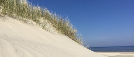 På stranden