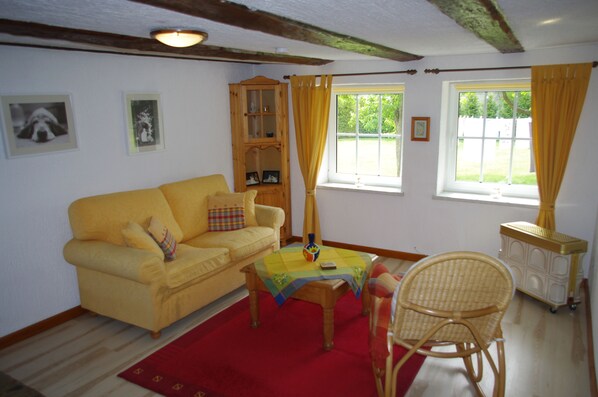 TV, fireplace, books, music library