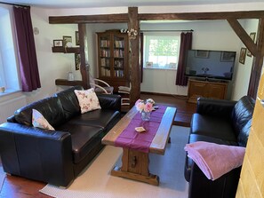 Télévision, cheminée, livres, médiathèque