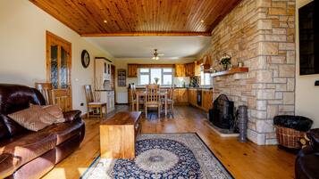 TV connectée, cheminée, livres, médiathÚque