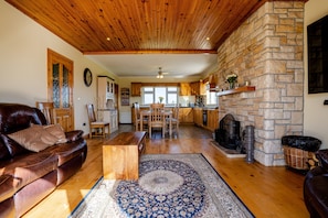 TV connectée, cheminée, livres, médiathÚque