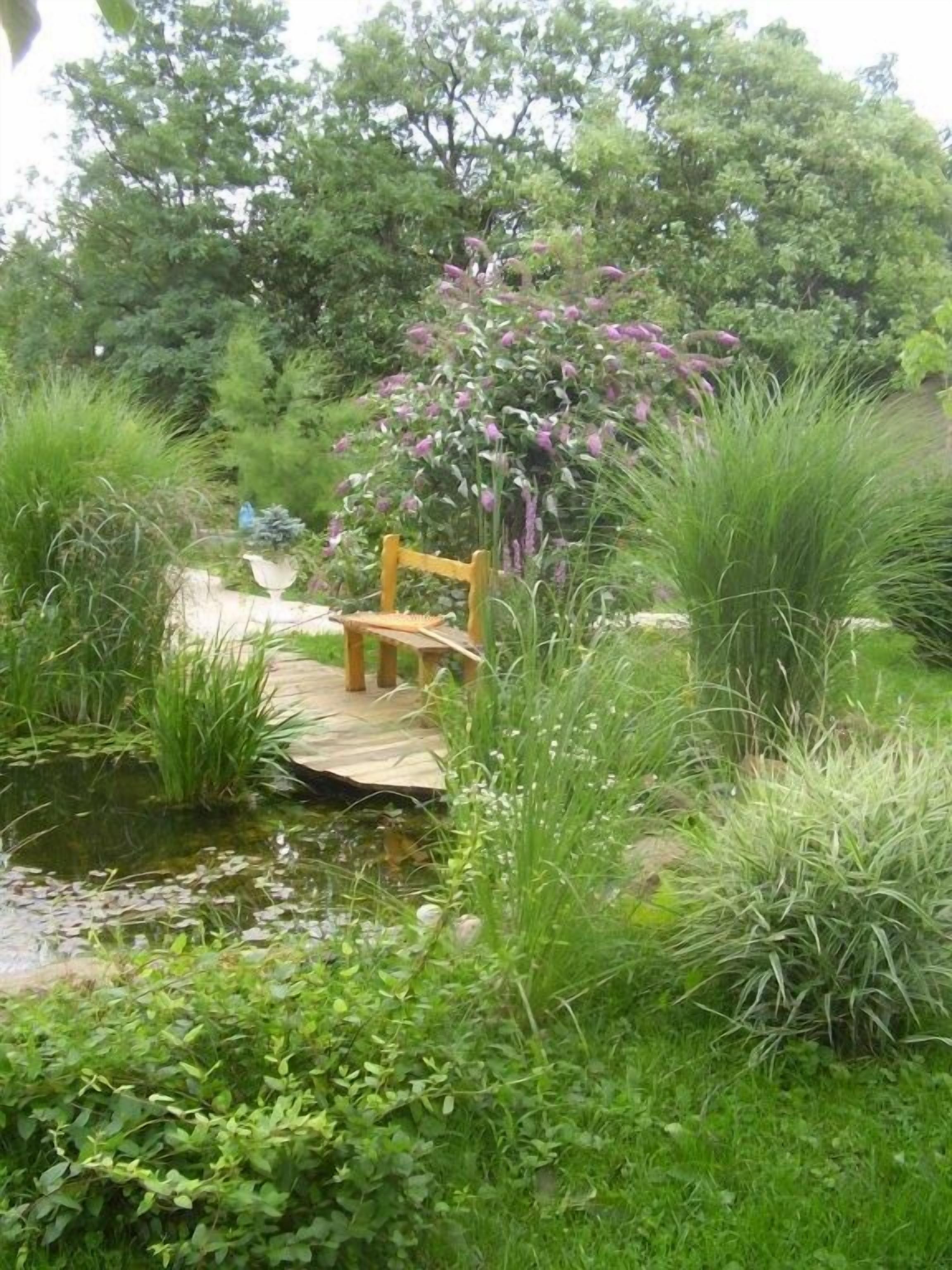 unser Gartenteich