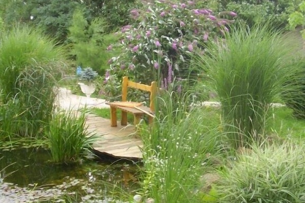 unser Gartenteich