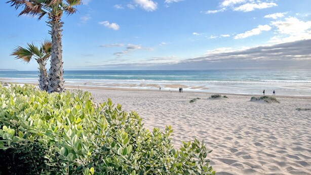 A beach with sand dunes, a palm tree, and a clear sky. - Exclusive gallery apartment overlooking the golf course / beach (Charneca de Caparica)