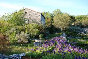 Property grounds - Detached house 100 m2 in the Ardèche gorges, classified 4 stars (Balazuc)