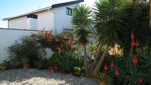 Un bâtiment moderne doté d’un toit plat, entouré de gravier, de plantes en pot et d’un palmier.