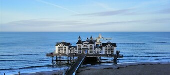 Holiday house, 300 m to the beach, close to the forest