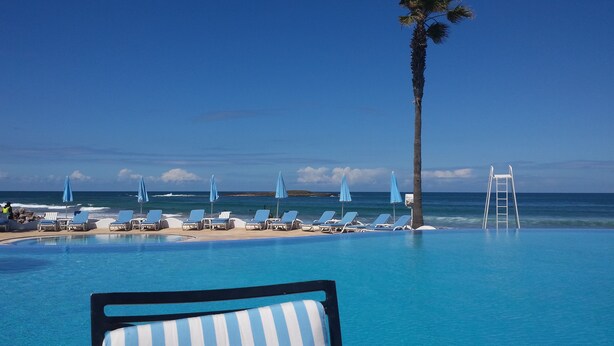 A poolside area with lounge chairs and umbrellas, a palm tree, and a view of the ocean.